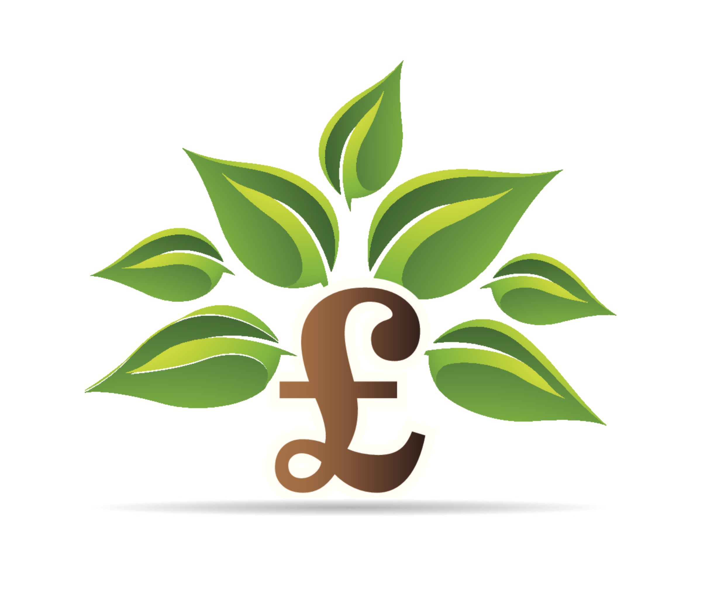 MoneyTree Financial Planning
